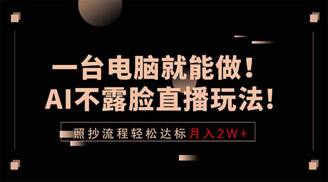 一台电脑就能做！AI不露脸直播玩法，照抄流程轻松达标月入2W+-源创文化-无心创作