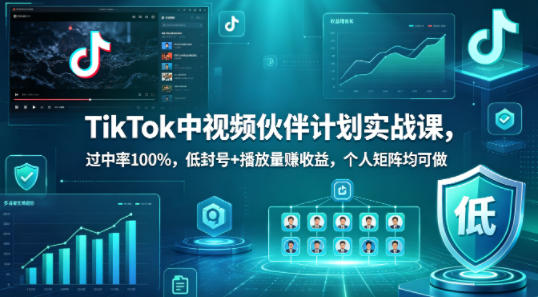 TikTok中视频伙伴计划实战课，过中率100%，低封号+播放量賺收益，个人矩阵均可做-源创文化-无心创作