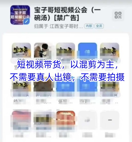 宝子哥头部团队短视频带货，以混剪为主，不需要真人出镜，不需要拍摄【更新26年3月】-源创文化-无心创作