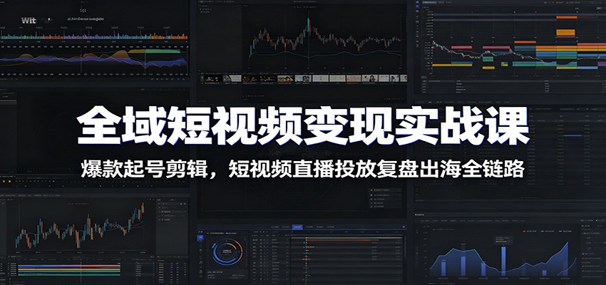 全域短视频变现实战课：爆款起号剪辑，短视频直播投放复盘出海全链路-源创文化-无心创作
