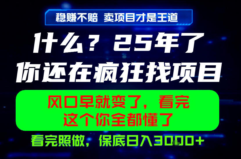 26年，请不要疯狂的找项目做了！卖项目才是真的稳賺不赔，看完照做，保底日入1k+【揭秘】-源创文化-无心创作