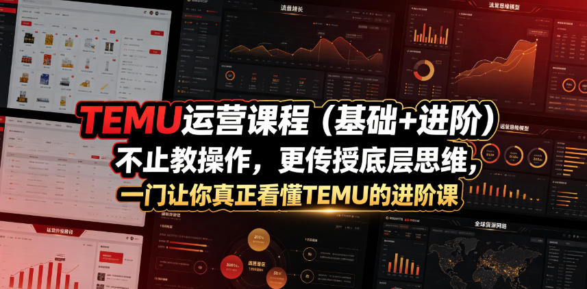 TEMU运营课程(基础+进阶)，不止教操作，更传授底层思维，一门让你真正看懂TEMU的进阶课-源创文化-无心创作