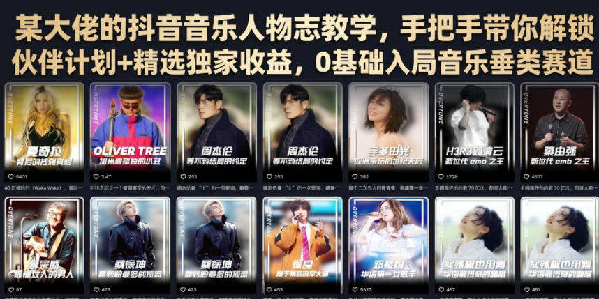 某大佬的抖音音乐人物志教学，手把手带你解锁伙伴计划+精选独家收益，0基础入局音乐垂类赛道-源创文化-无心创作