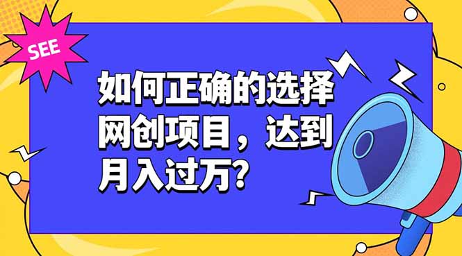 如何正确的选择网创项目，达到月入过万？，本课程教你正确选择项目。-源创文化-无心创作