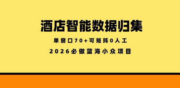 酒店智能数据归集，小众蓝海已经稳定半年之久，单窗口70+零成本矩阵开干【揭秘】-源创文化-无心创作