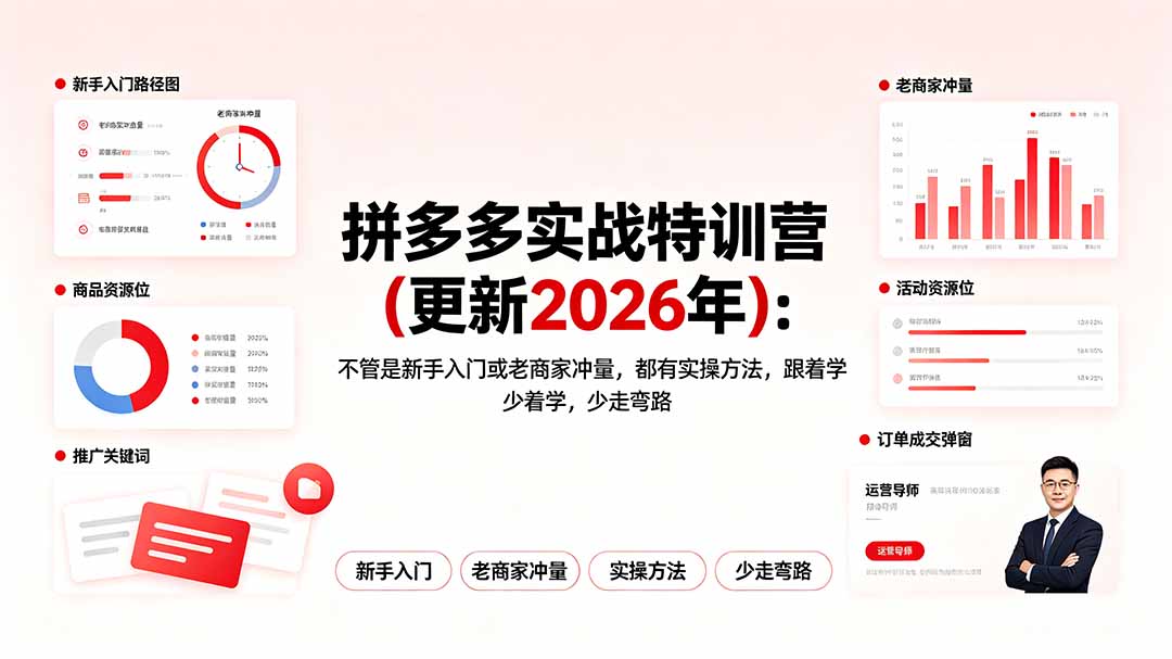 拼多多实战特训营(更新2026年-源创文化-无心创作