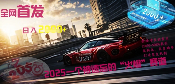 全网首发：2025一个被遗忘的“火爆”赛道轻松日入多张-源创文化-无心创作