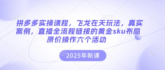 拼多多实操课程，飞龙在天玩法，真实案例，直播全流程链接的黄金sku布局原价操作六个活动-源创文化-无心创作