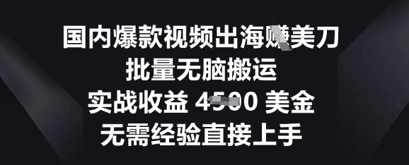 国内爆款视频出海挣美刀，批量无脑搬运，实战收益4.5k，无需经验直接上手-源创文化-无心创作