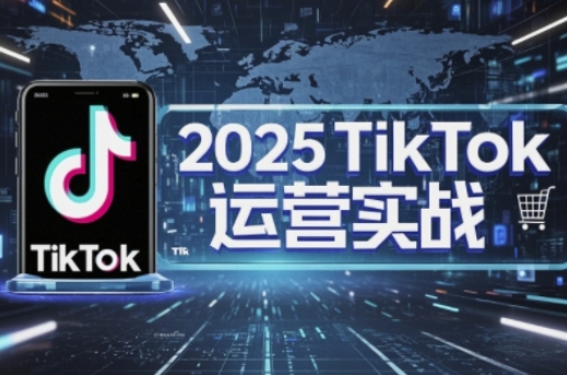 2025TikTok电商运营，掌握TikTok店铺运营核心技巧，实现低成本高转化-源创文化-无心创作