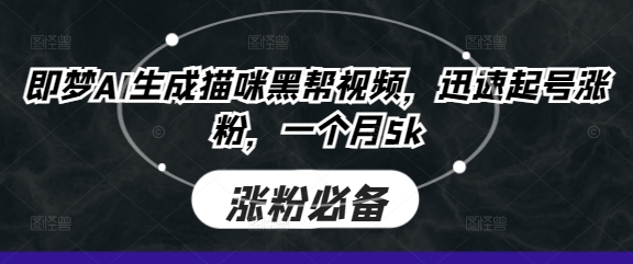 即梦AI生成猫咪黑帮视频，迅速起号涨粉，一个月5k-源创文化-无心创作