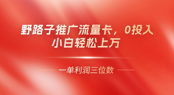 0门槛推广流量卡，一单收益上百，0投入，小白月入过W-源创文化-无心创作
