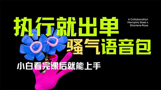 （14170期）爆火全网的开车导航骚气语音包,只要执行就出单，小白看完课程就能实操...-源创文化-无心创作