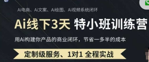 AI实操培训第20-21期线下，0基础保姆级教程，3月最新整理，企业获客、降本增效、打造超级个体-源创文化-无心创作