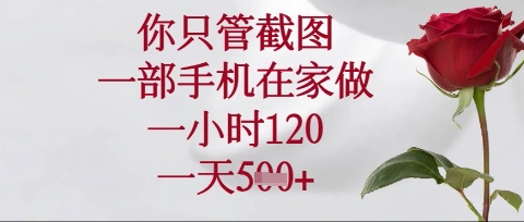 你只管截图，一部手机在家操作，一小时120.一天5张【揭秘】-源创文化-无心创作